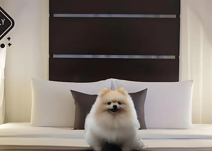 Ape Luxo Moderno E Aconchegante Completo