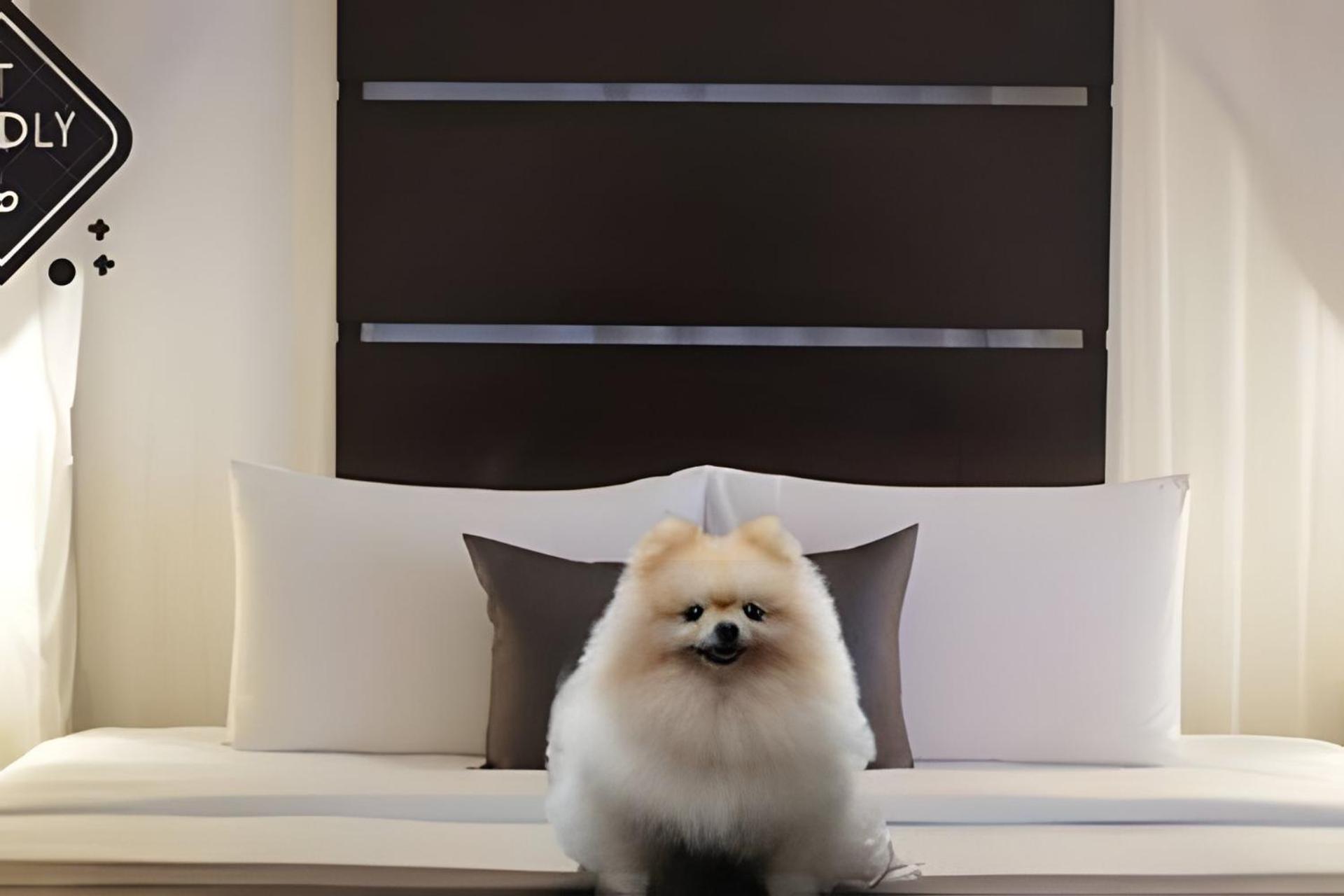 Ape Luxo Moderno E Aconchegante Completo Apartment Itajai